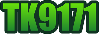 bdtk9171.com Logo